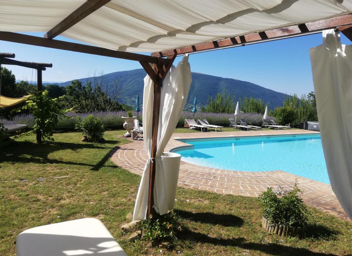 Le Ginestre Apartments Assisi Kültér fotó