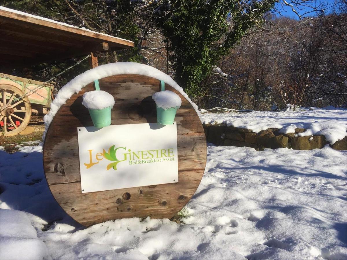 Le Ginestre Apartments Assisi Kültér fotó