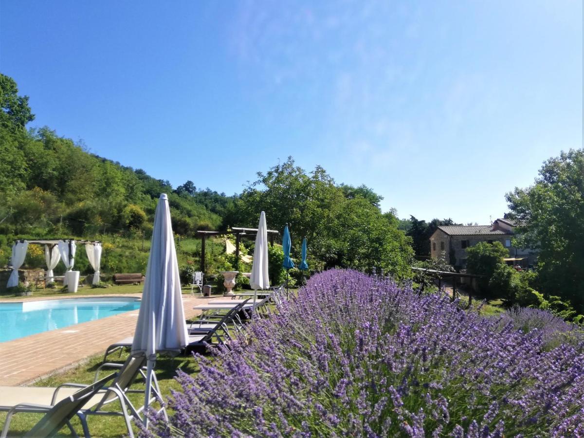Le Ginestre Apartments Assisi Kültér fotó