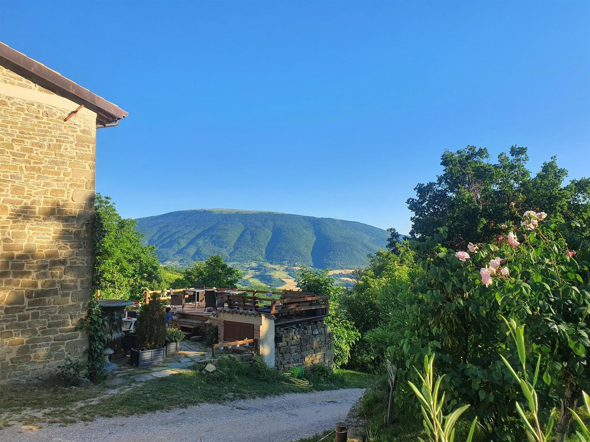 Le Ginestre Apartments Assisi Kültér fotó