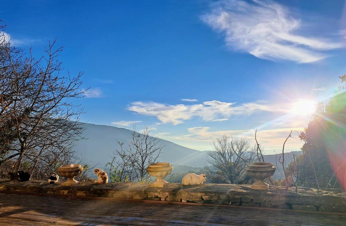 Le Ginestre Apartments Assisi Kültér fotó