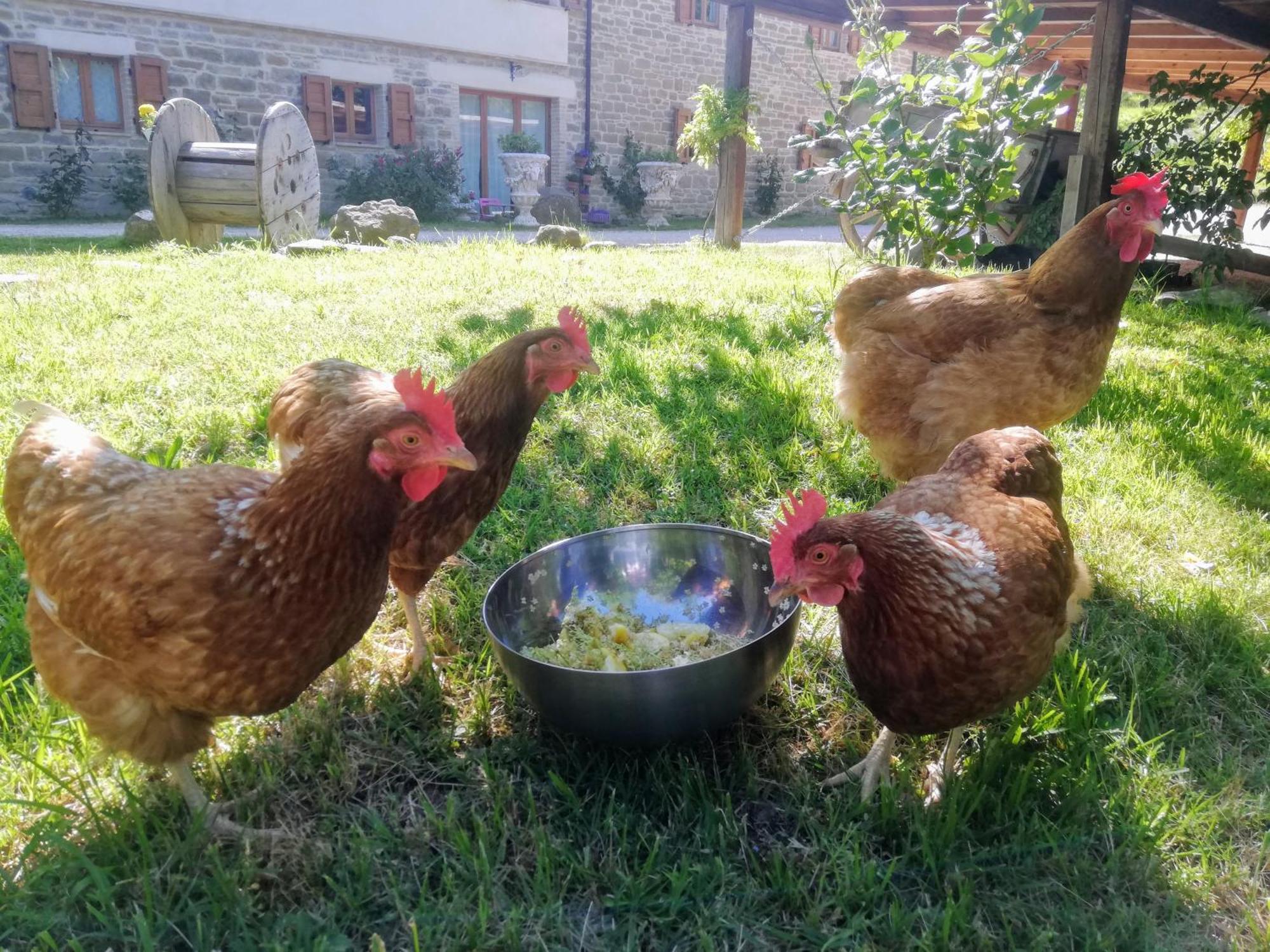 Le Ginestre Apartments Assisi Kültér fotó