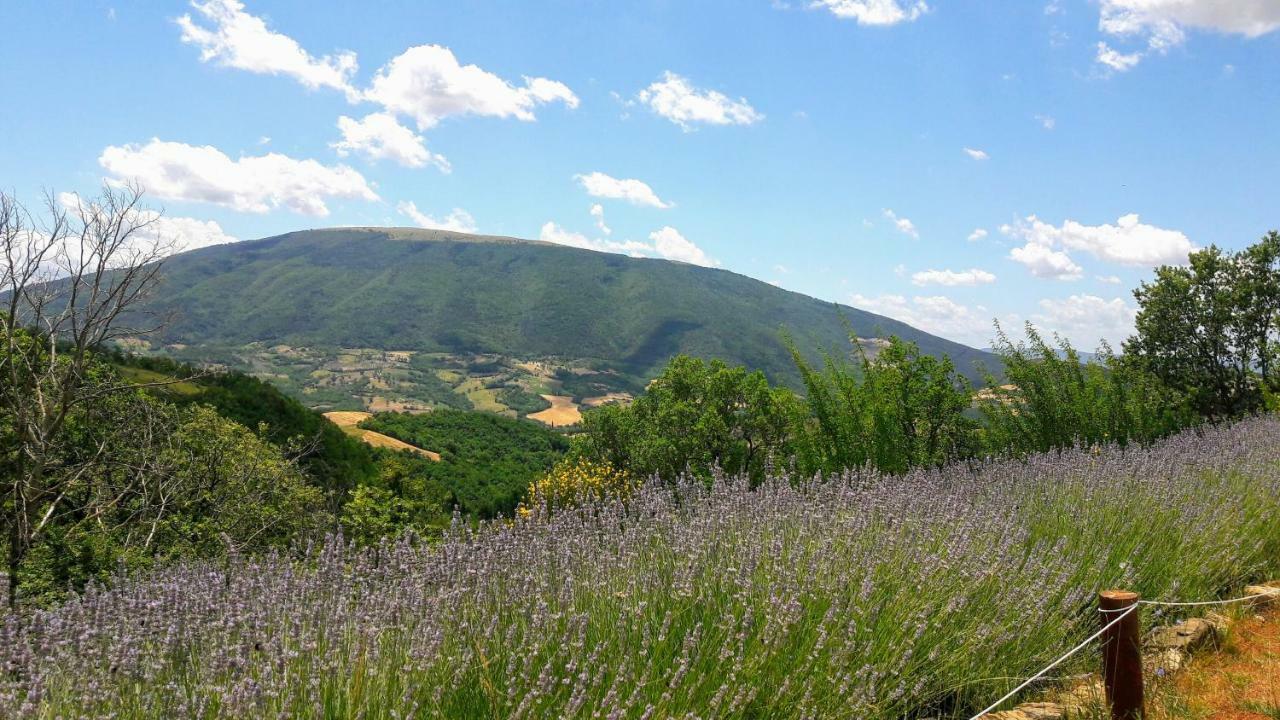 Le Ginestre Apartments Assisi Kültér fotó